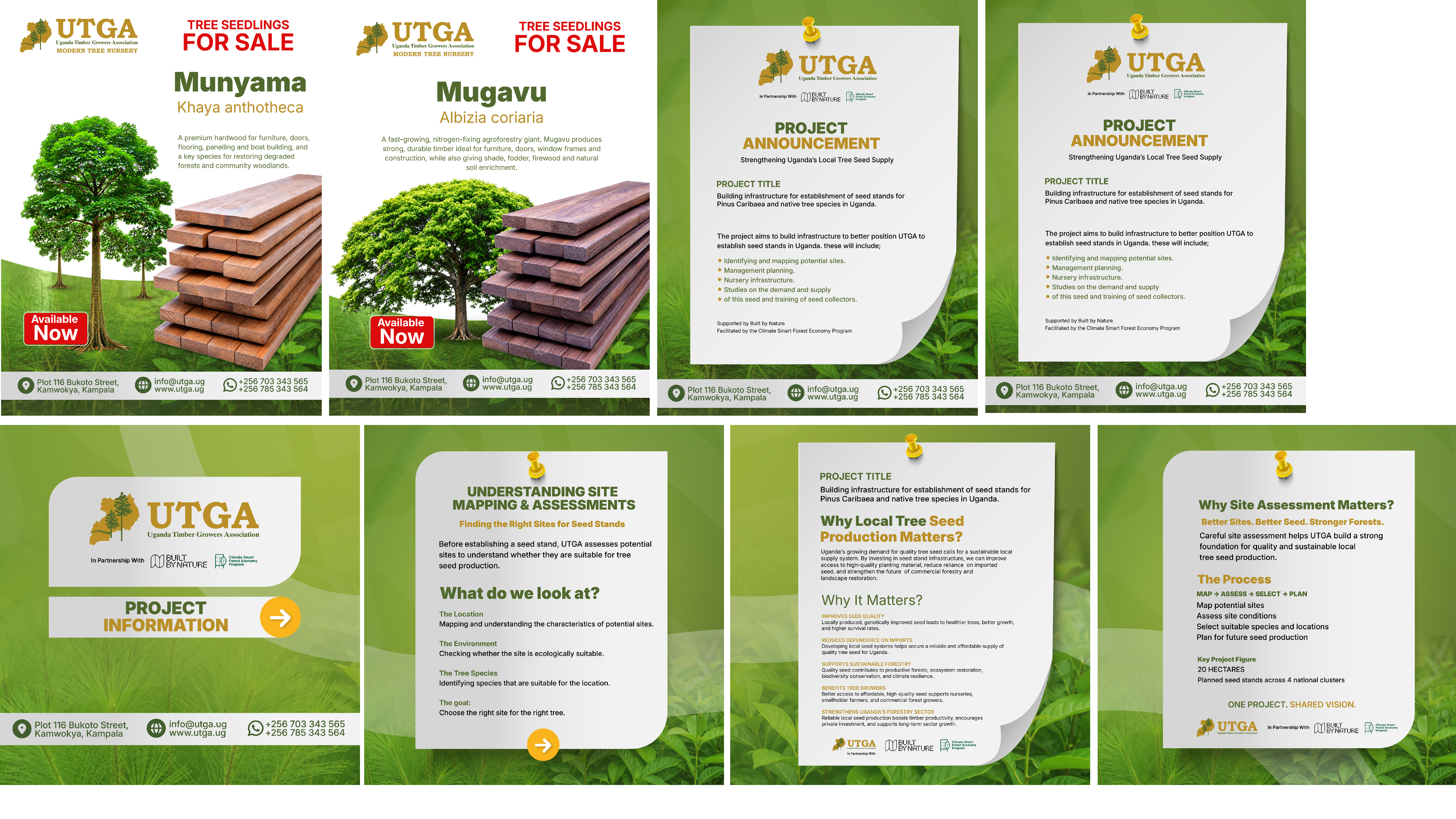 Uganda Timber Growers Association project and forestry information graphics